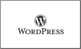 dmdp,digital marketer deepika puri wordpress